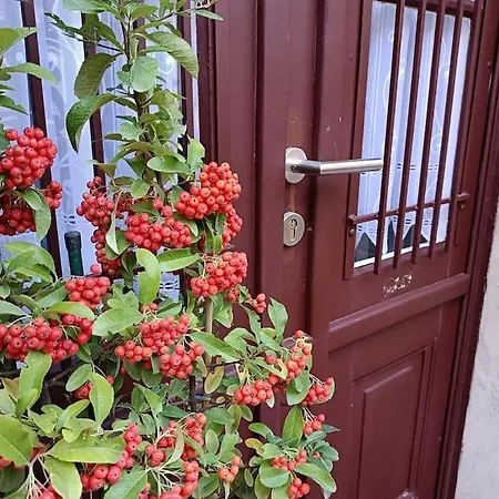 Διαμέρισμα Astoria Downtown